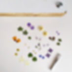 fleurs pressées et presse á fleurs