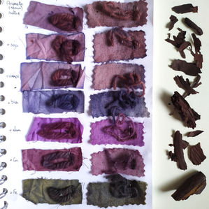 Teinture à l'orcanette