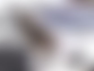 Teinture aux haricots noirs