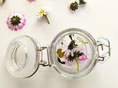 pâquerettes dans un bocal en verre