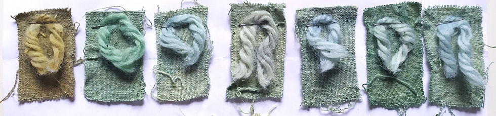 nuancier de teinture à la persiciare à indigo
