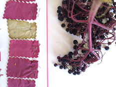 Teinture aux baies de sureau noir