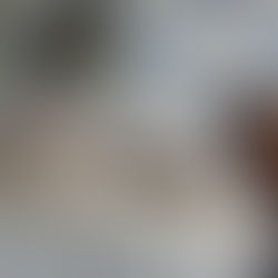 fibres textiles naturelles à teindre