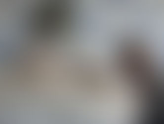 fibres textiles naturelles à teindre