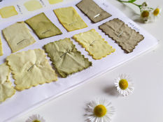 Teinture aux vergerettes