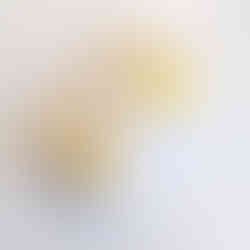 Étui zippé aux impressions végétales de calendula