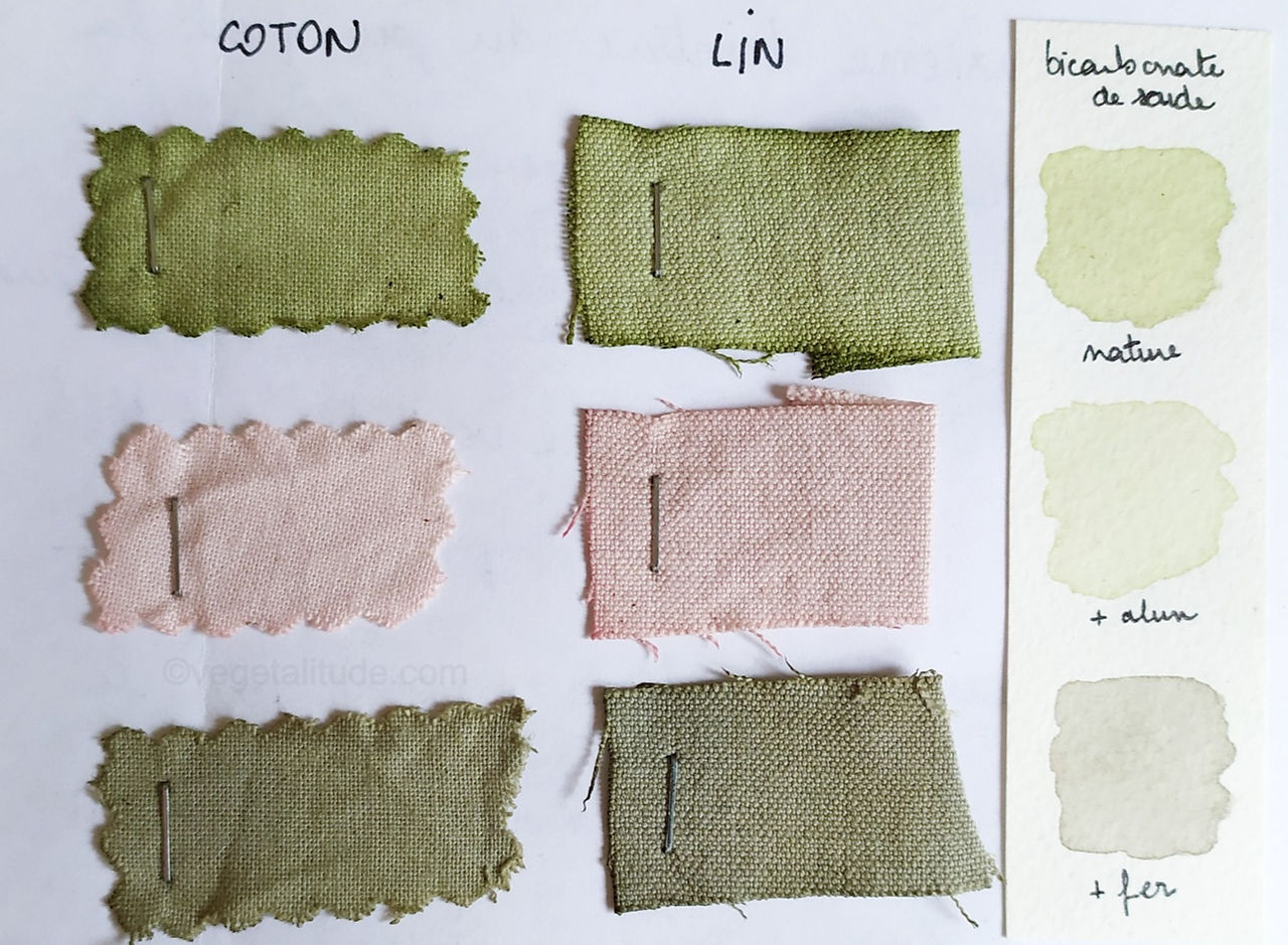 Teinture aux baies de lierre au bicarbonate de soude