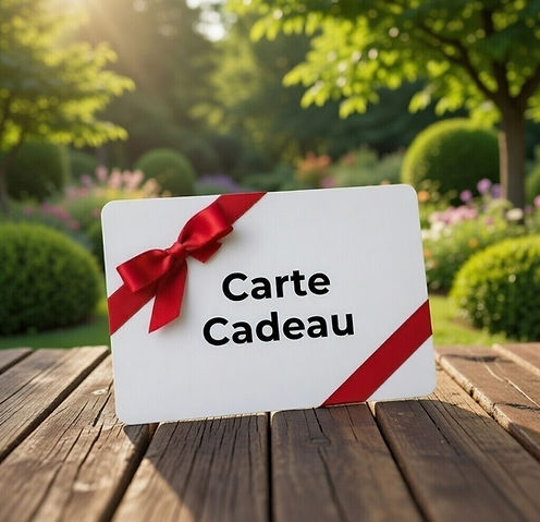 carte cadeau.png