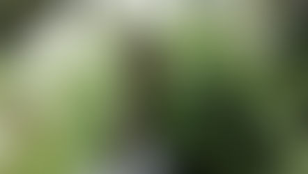 Kundengruß vom Karolinenhof-Berlin/ Thanks Roland for your great fotos