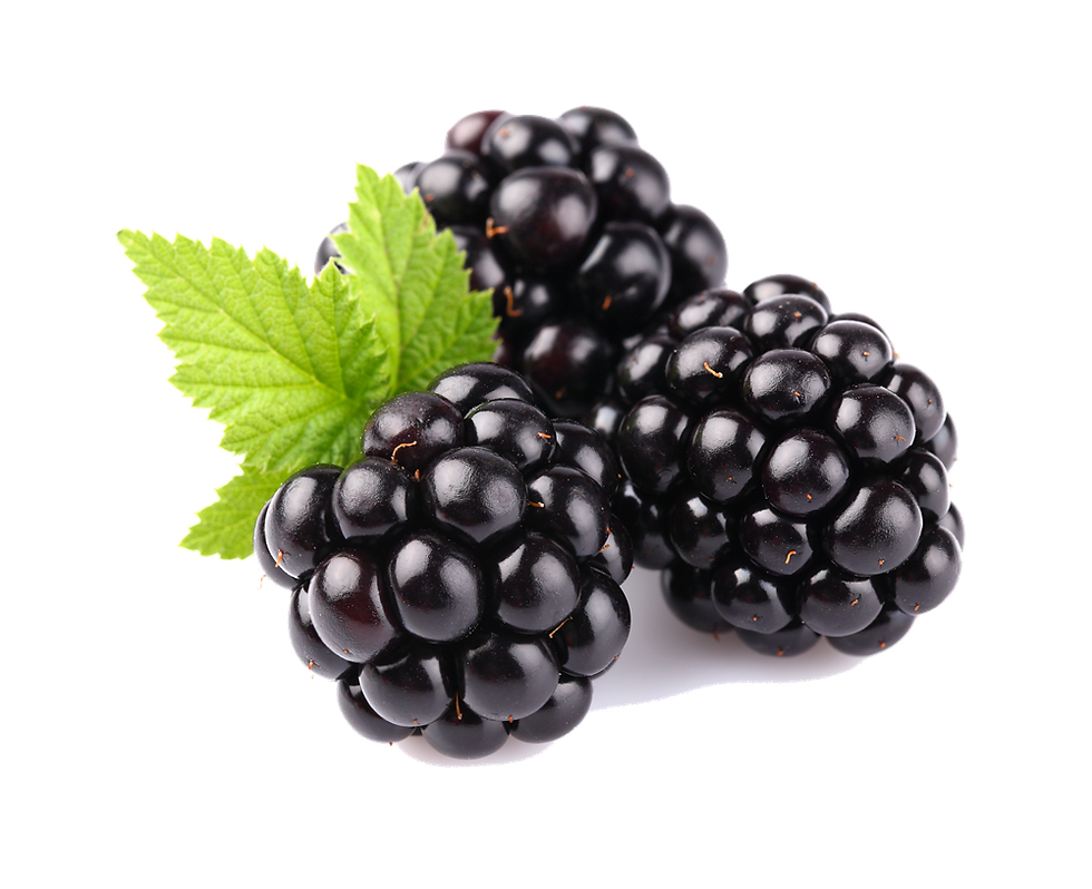 ranking the blackberries against other fruit
