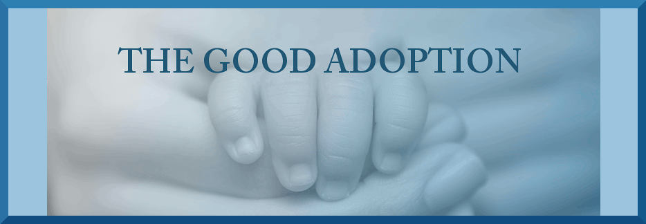 TheGoodAdoption.gif