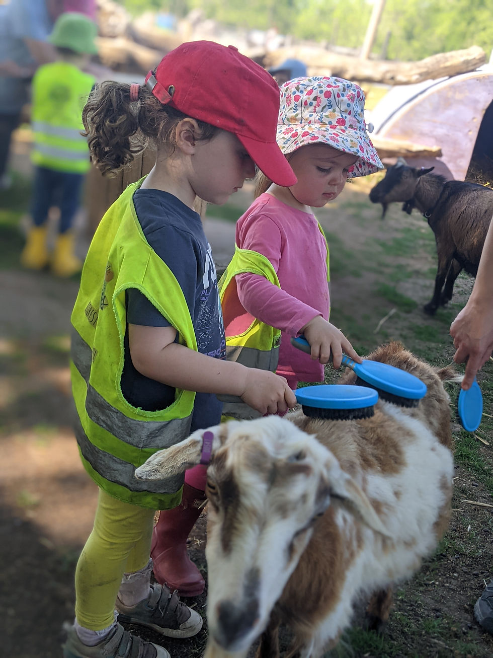 Open Day - Tour 2 (10.30am)