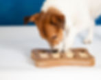 Feeding Toy