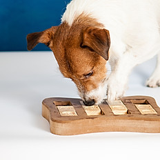 Feeding Toy