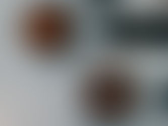 ¿Se está extinguiendo el café?