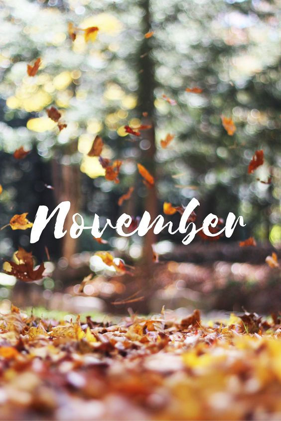 HELLO NOVEMBER!