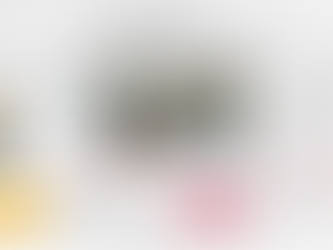 Les nouveautés livres au CDI