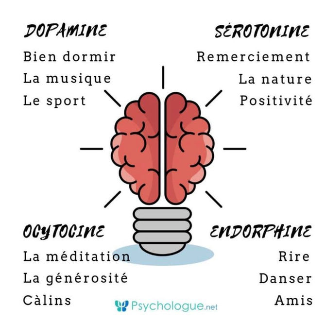 Les 4 principales hormones du bonheur et bien-être