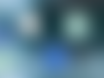 Bilan du CDI:2018-2019