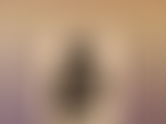 A l'abordage avec les pirates