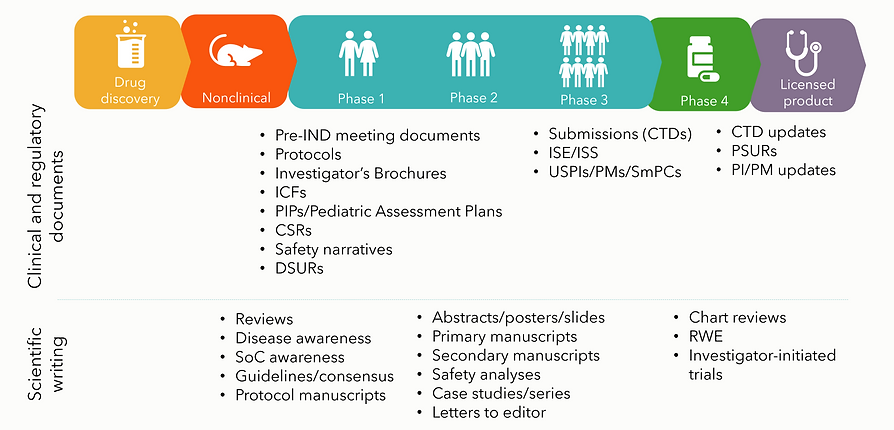 regulatory writing process