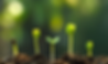 Seed Starting: Where to start?