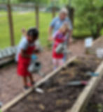 Sunflower seed planting at Waddell