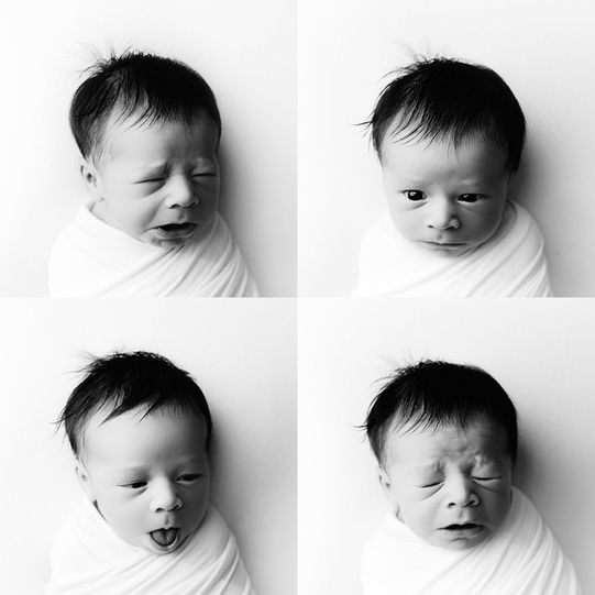 Best Newborn Photographer in Cleveland Ohio