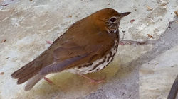 11127889_10105175265702863_8711173490544143472_n