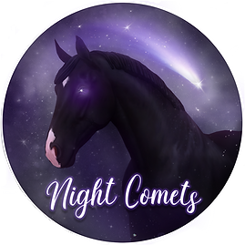 NightComets_Logga2025.png