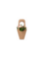 Handle Bouquet Gift Bags (25)
