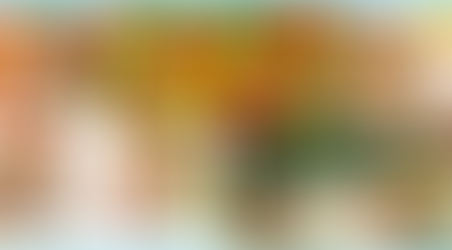 Em busca de uma boa alimentação