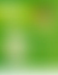 Have You Used DIA's Parent Portal Store?