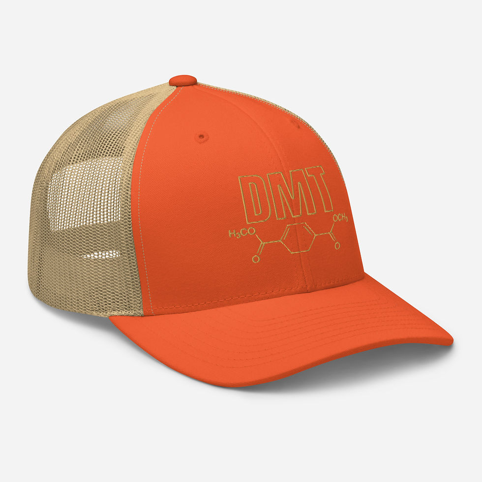 Thumbnail: DMT Trucker Cap