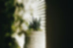 fallon-michael-dK-AXjjuKp0-unsplash.jpg