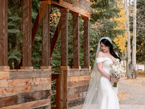 Bridal Portraits