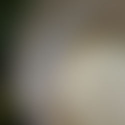 Free workshop: how to use singing bowls for healers and yoga teachers