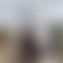 Our latest news - January 2025