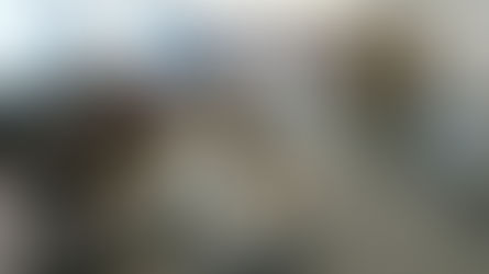 The bearable likeness of being: why experiential learning is powerful