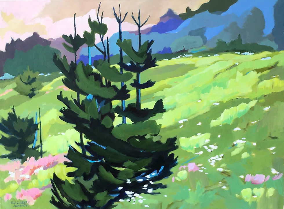 Hill Top