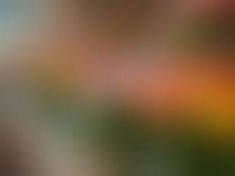 Finding the Perfect Bouquet Shop Near You