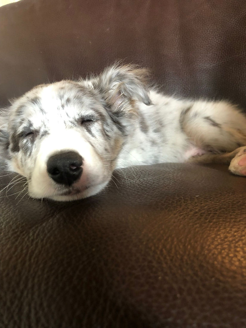 WhatsApp Image 2025-11-05 at 15.59.56.jpeg