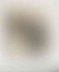 A monochrome Polaroid of Misuzu, nude with bunny ears next to a circular mirror