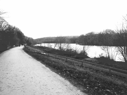 Monochrome wintery landscape of a footpath and a lake
