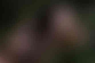 Portrait of Misuzu in woodland, looking into the sun, hands in her hair