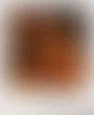 Selfie polaroid of Misuzu nude in the shower with her tongue out