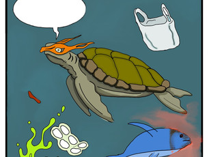 Oceanic Plastic Pollution