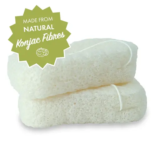 Thumbnail: Friendly Konjac sponge