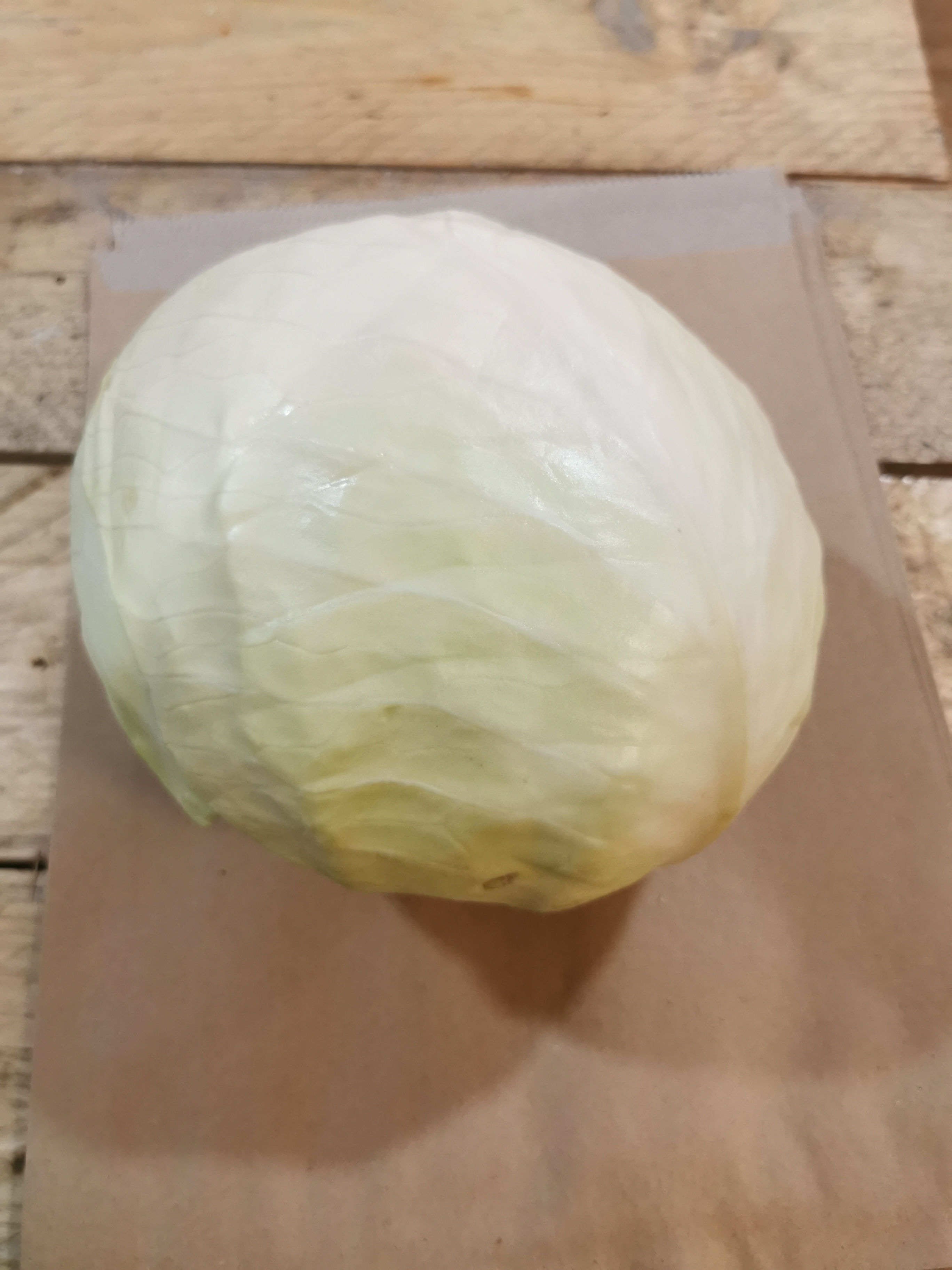 White cabbage