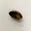 Miniatura: Fava Pichuri